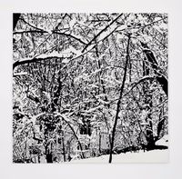 Farhad MOSHIRI - Perrotin