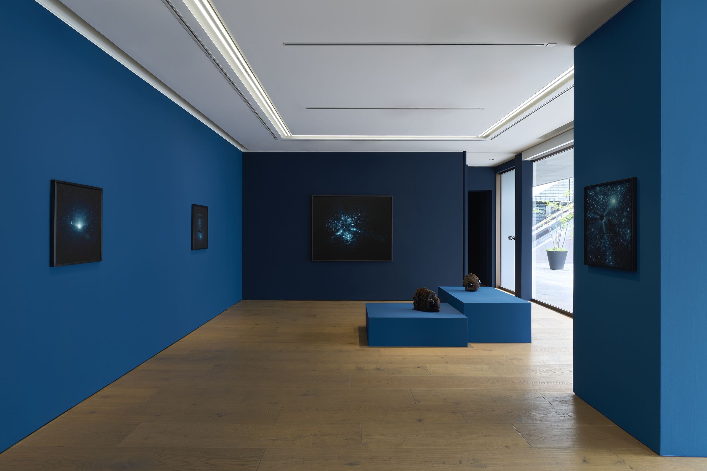 Julian Charrière - Perrotin