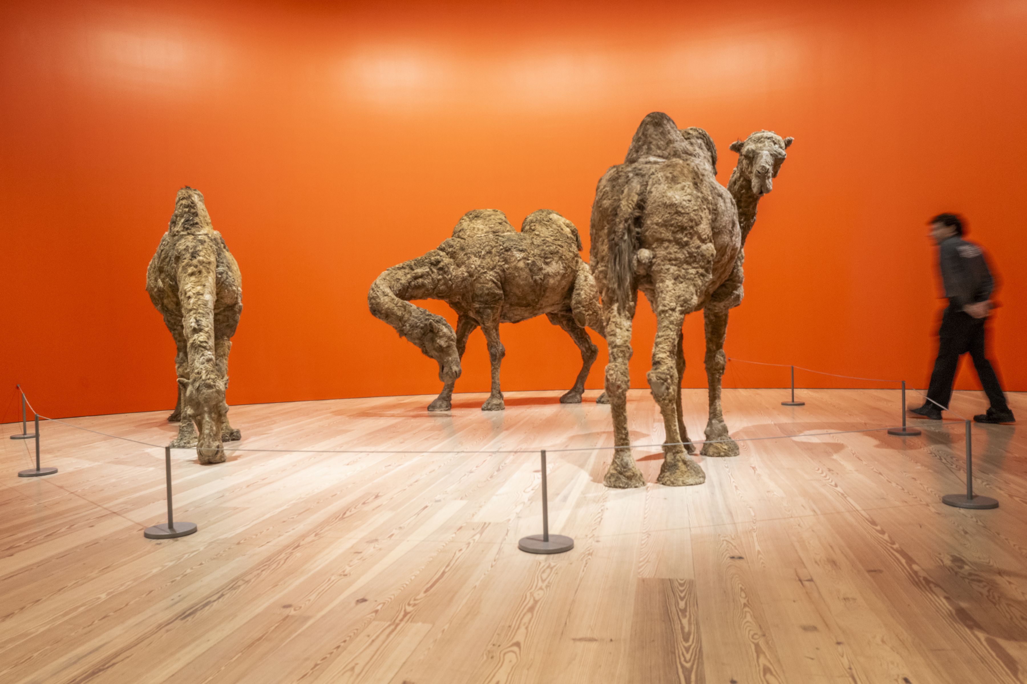 sweet camel 展示サンプル Sixties Surreal slideshow - Perrotin