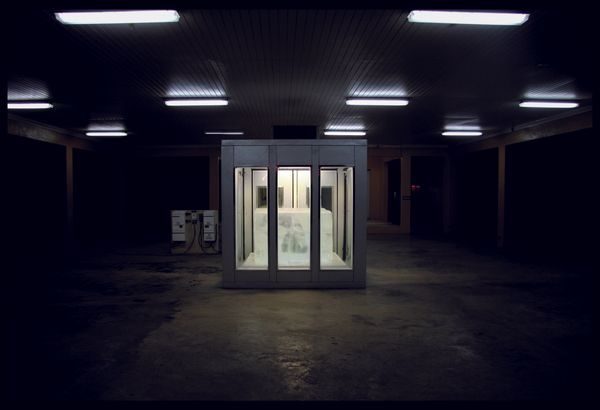 Tavares STRACHAN — 'The Distance Between What We Have and What We Want': Elevator for the Reversal of Up and Down