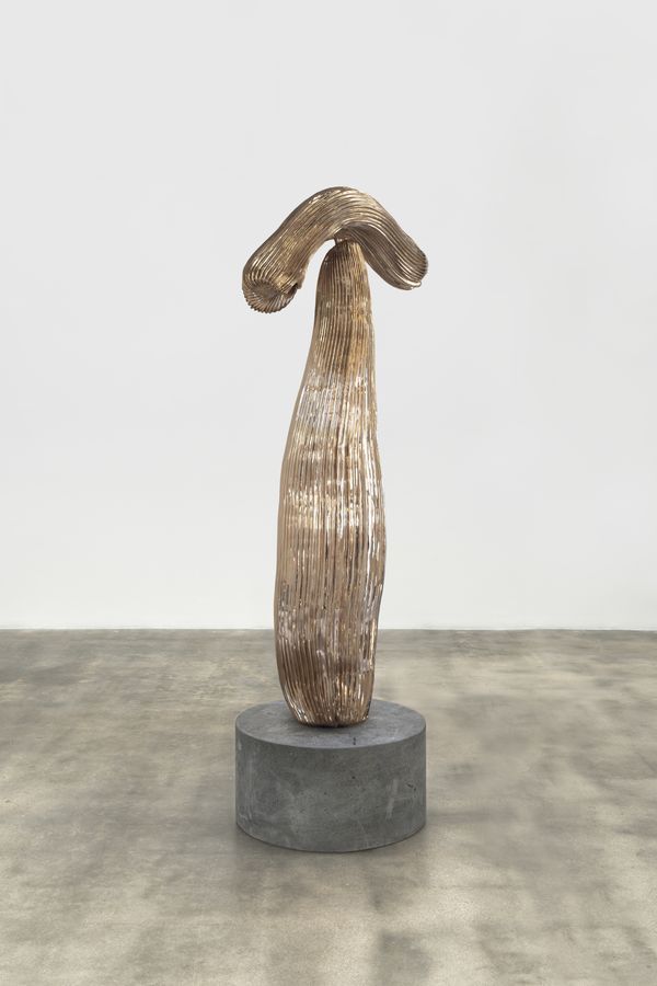 Alma Allen — Not Yet Titled