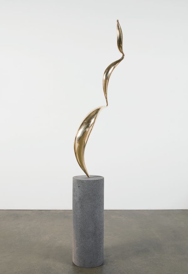 Alma Allen — Not Yet Titled