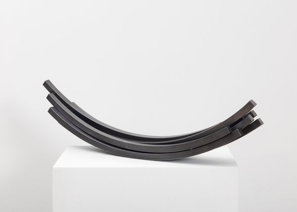 Bernar Venet — 79.5° Arc x 9