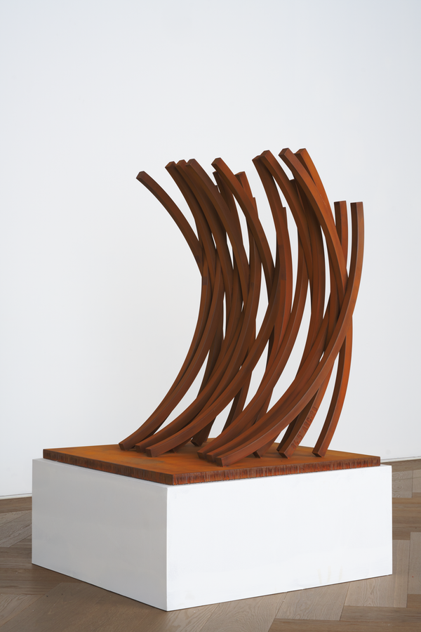 Bernar Venet — 84.5° Arc x 20