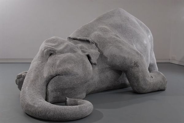 Bharti KHER — The skin speaks a language not its own