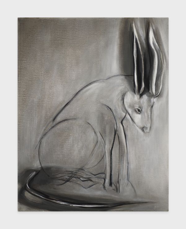 Emma WEBSTER — Wily Drawing