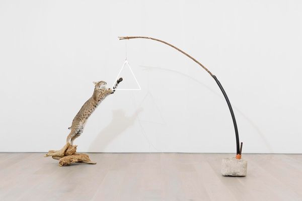 Gabriel RICO — Multis utile bellum