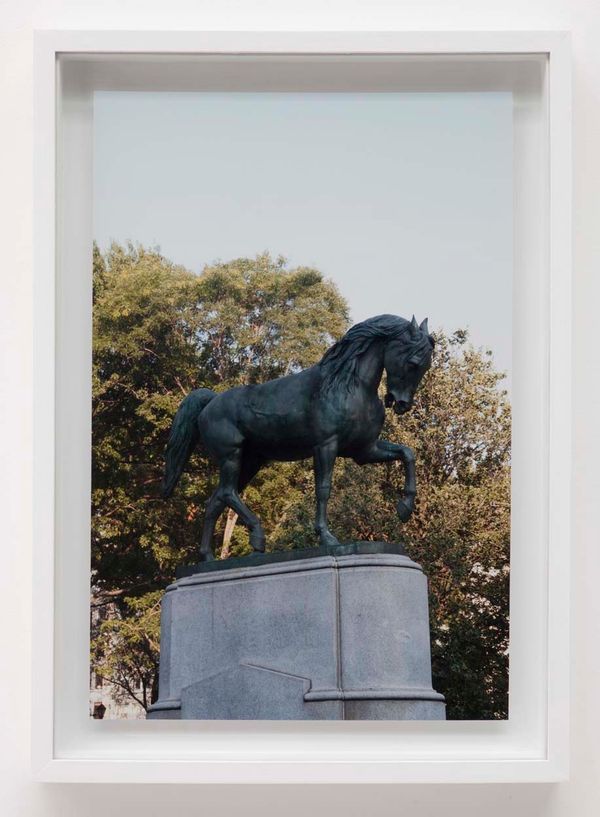 Iván ARGOTE — Horse (New York, Union Square)