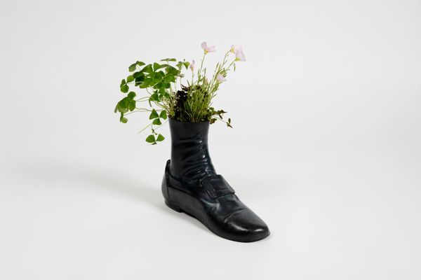 Iván ARGOTE — Wild Flowers: A Foot