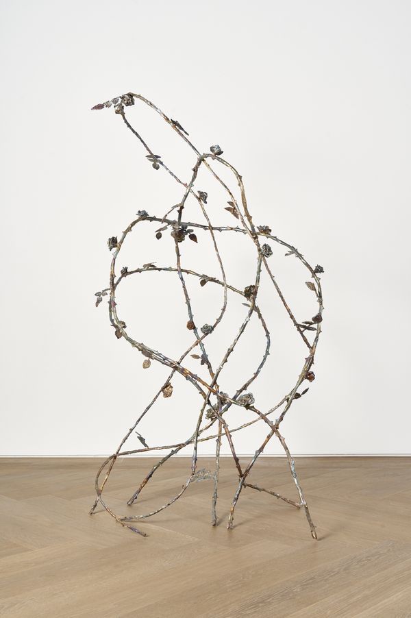 Jean-Marie APPRIOU — The Briar Rose (rosa chinensis)