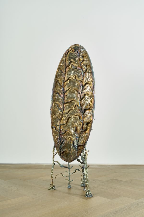 Jean-Marie APPRIOU — Mirror of lights (kelp)