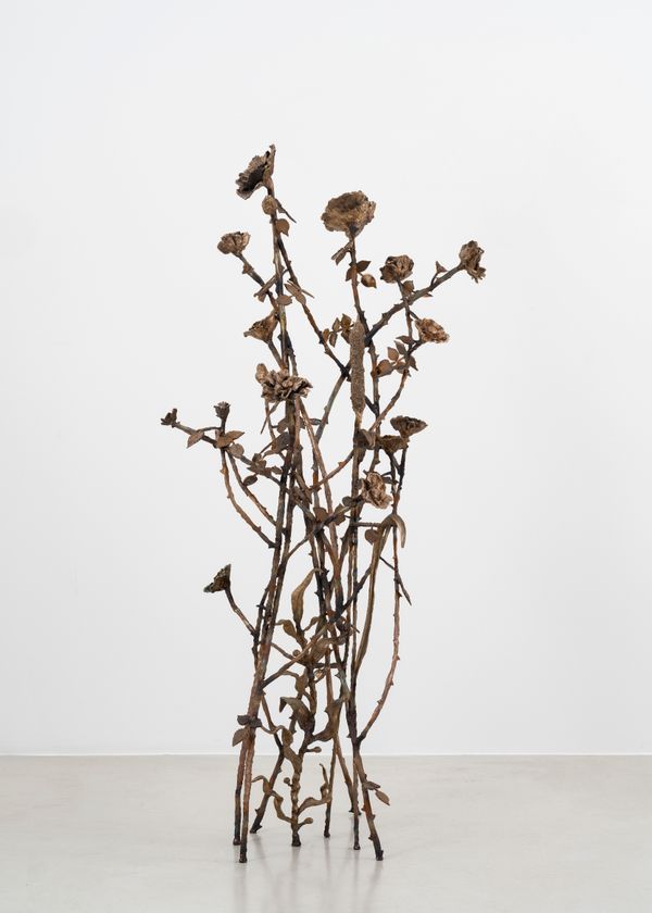 Jean-Marie APPRIOU — Echo's Garden