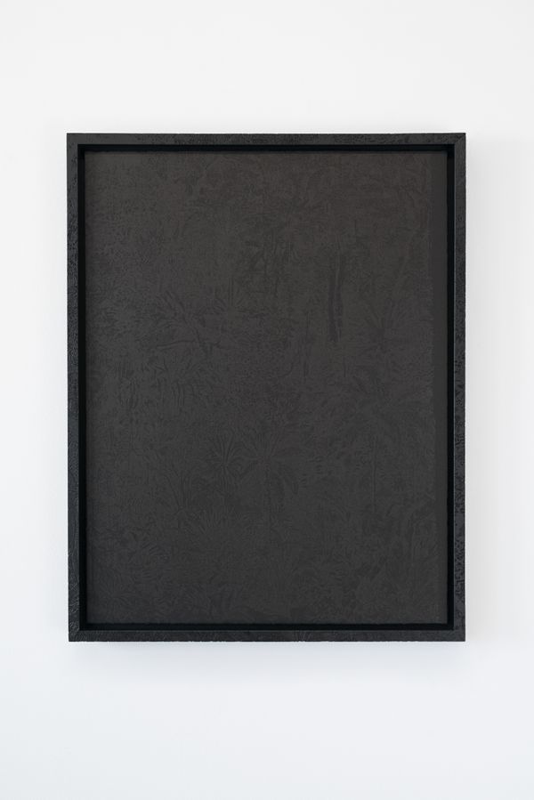 Julian Charrière — Ash Cloud Forest | To Observe Is to Influence (V)