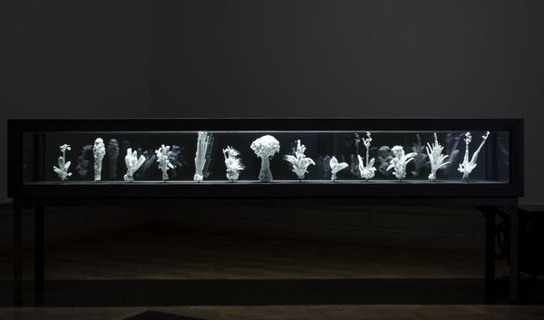 Julian Charrière — Tropisme