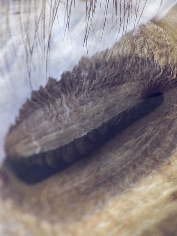 Julian Charrière — In Collaboration with Julius von Bismarck - Objects in Mirror Might Be Closer Than They Appear, V