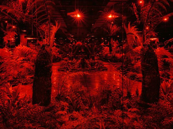 Julian Charrière — Panchronic Garden