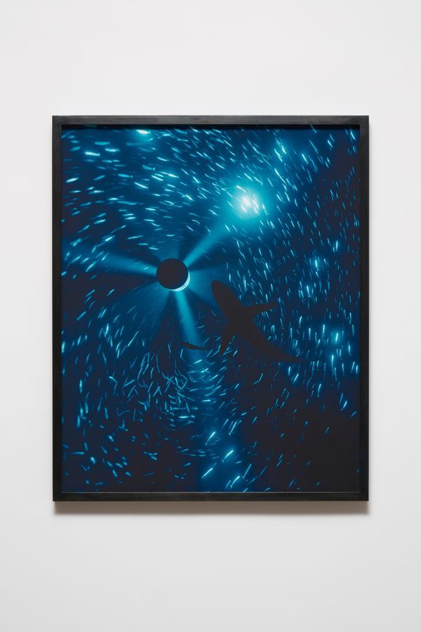 Julian Charrière — Midnight Zone - 166 Fathoms
