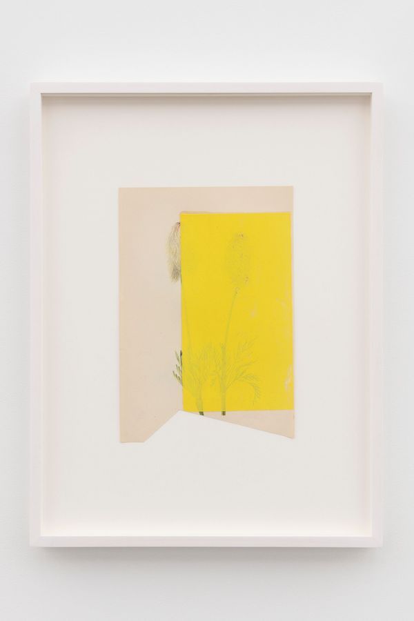 Leslie HEWITT — Untitled