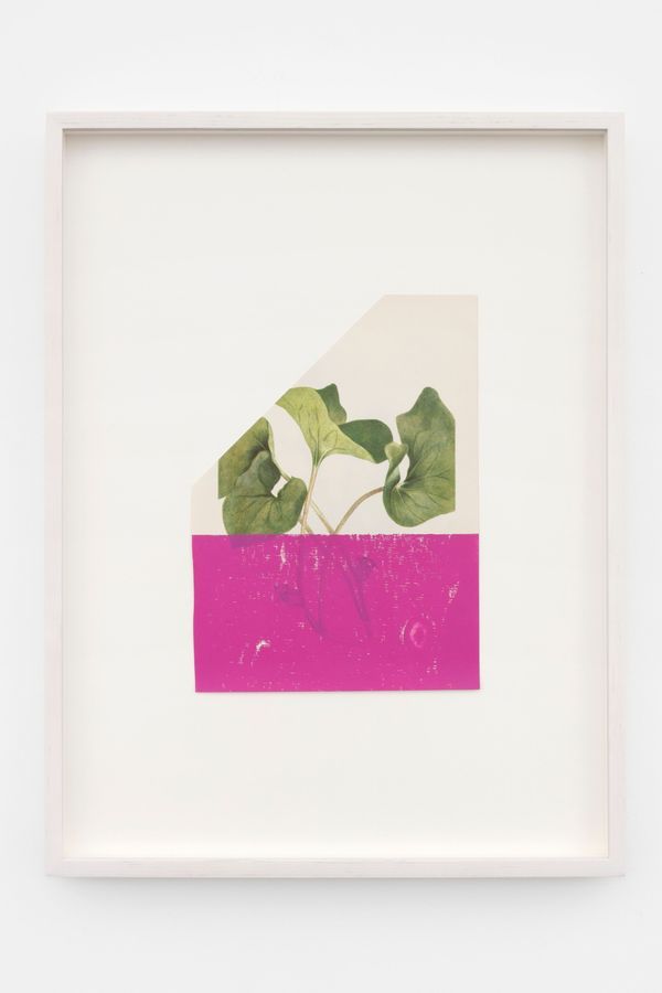 Leslie HEWITT — Untitled