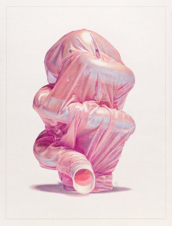 Mehdi GHADYANLOO — The Hiding Elephant