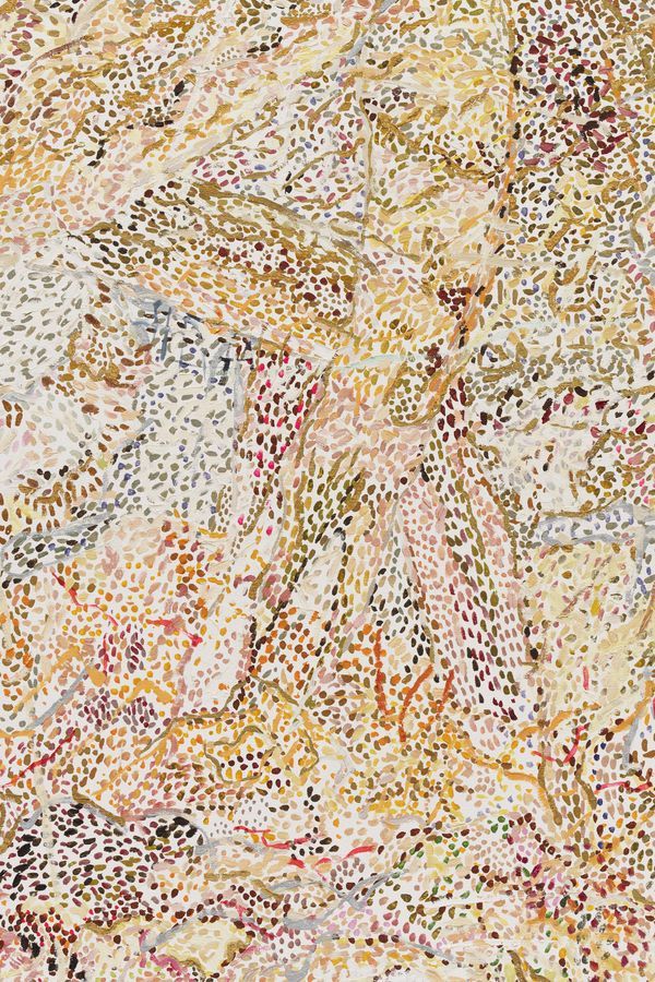 Nancy GRAVES — Camouflage Series #4