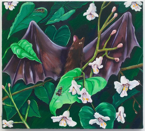 Nikki Maloof — Bat in a Catalpa Tree