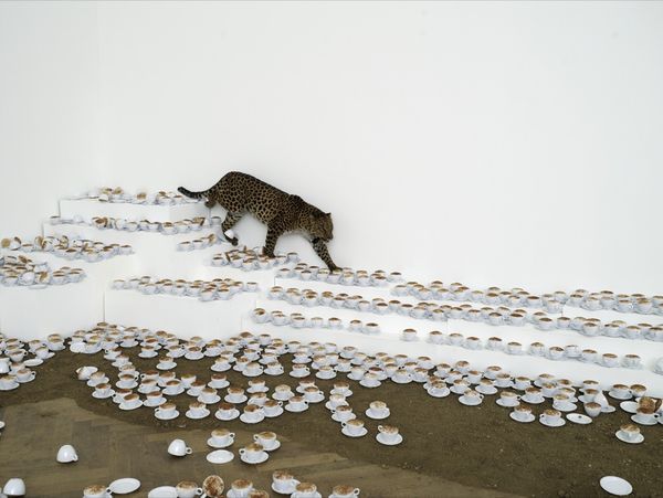 Paola PIVI — One cup of cappuccino then I go