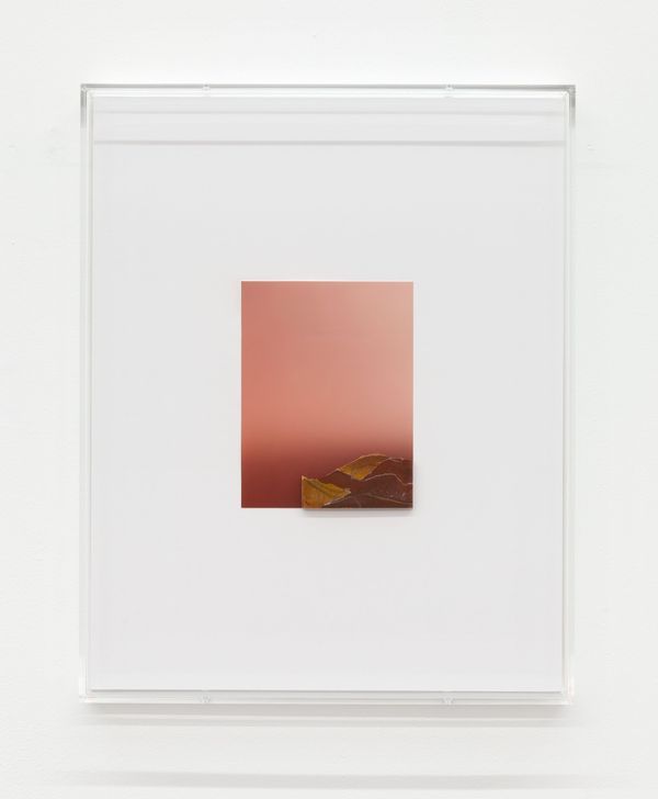 Pieter VERMEERSCH — Untitled
