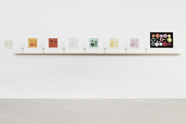 Sophie CALLE — Le Régime Chromatique