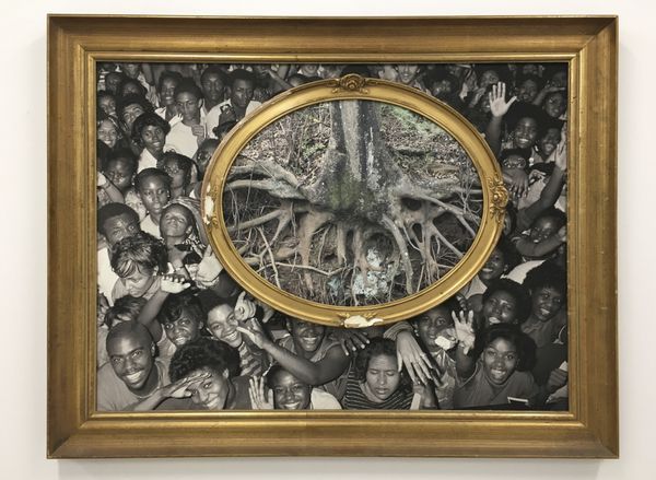 Todd Gray — Flora Africanus (D.C)
