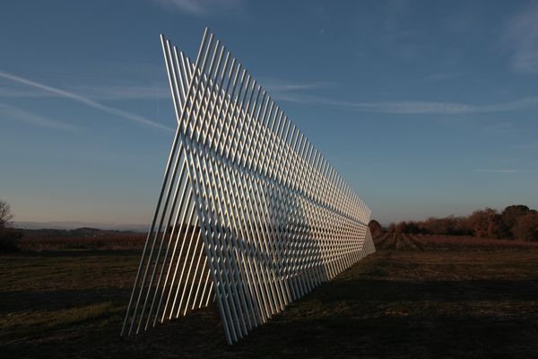 Xavier VEILHAN — Les Rayons de Sarus