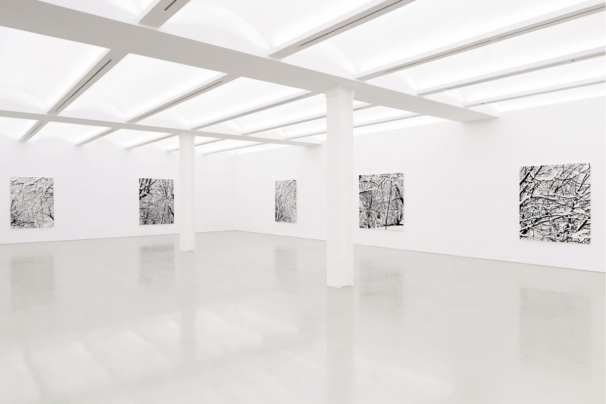 Farhad MOSHIRI - Artist - Perrotin