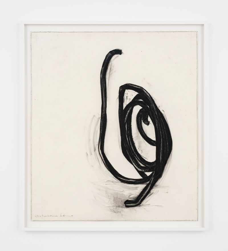 bernar_venet_Deux lignes indetermin&eacute;es_