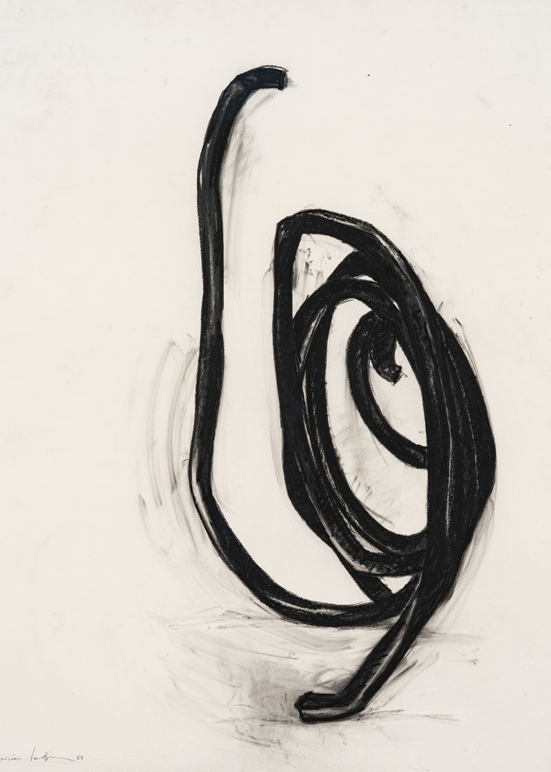 bernar_venet_Deux lignes indetermin&eacute;es_