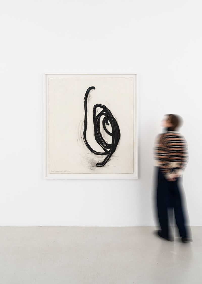 bernar_venet_Deux lignes indetermin&eacute;es_