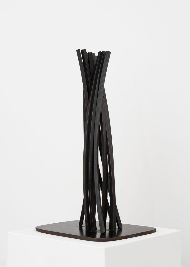 bernar_venet_Vertical Disorder: 11 Arcs_