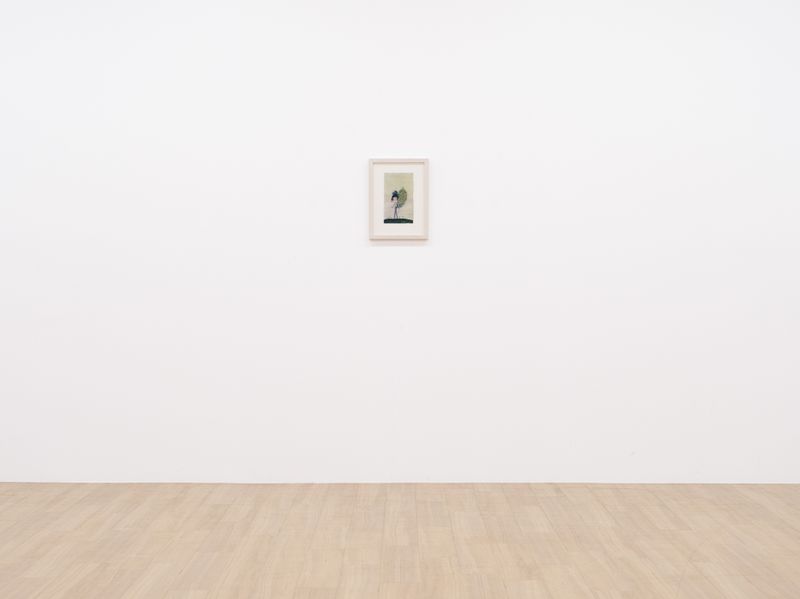 Chiho_Aoshima_Peacock Girl_