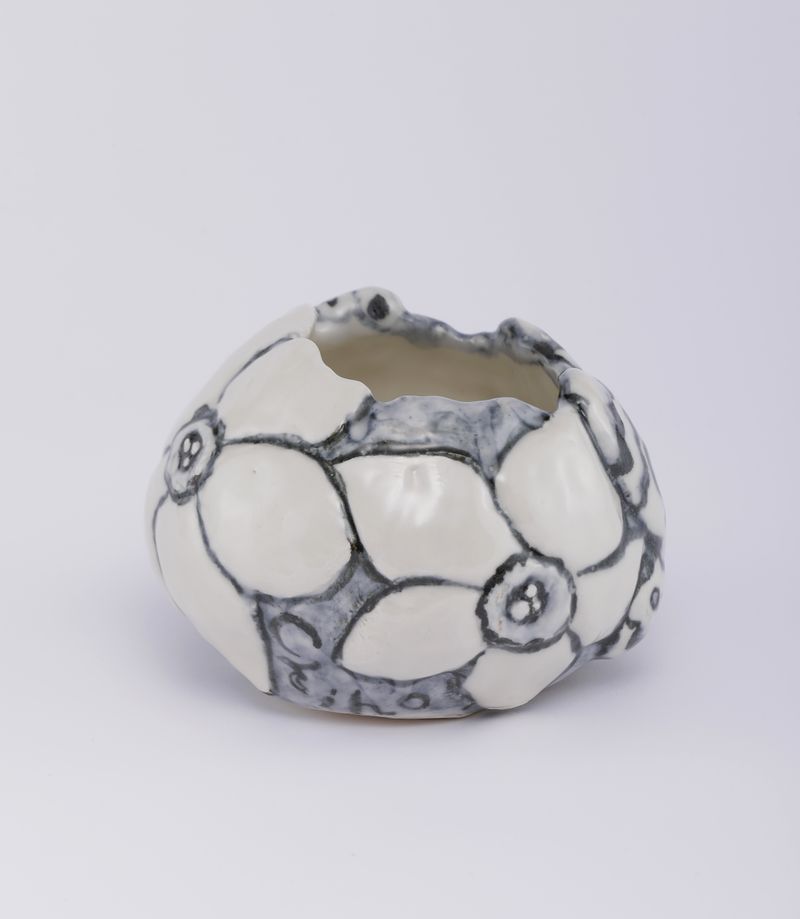 Chiho_Aoshima_Moth and Larva_