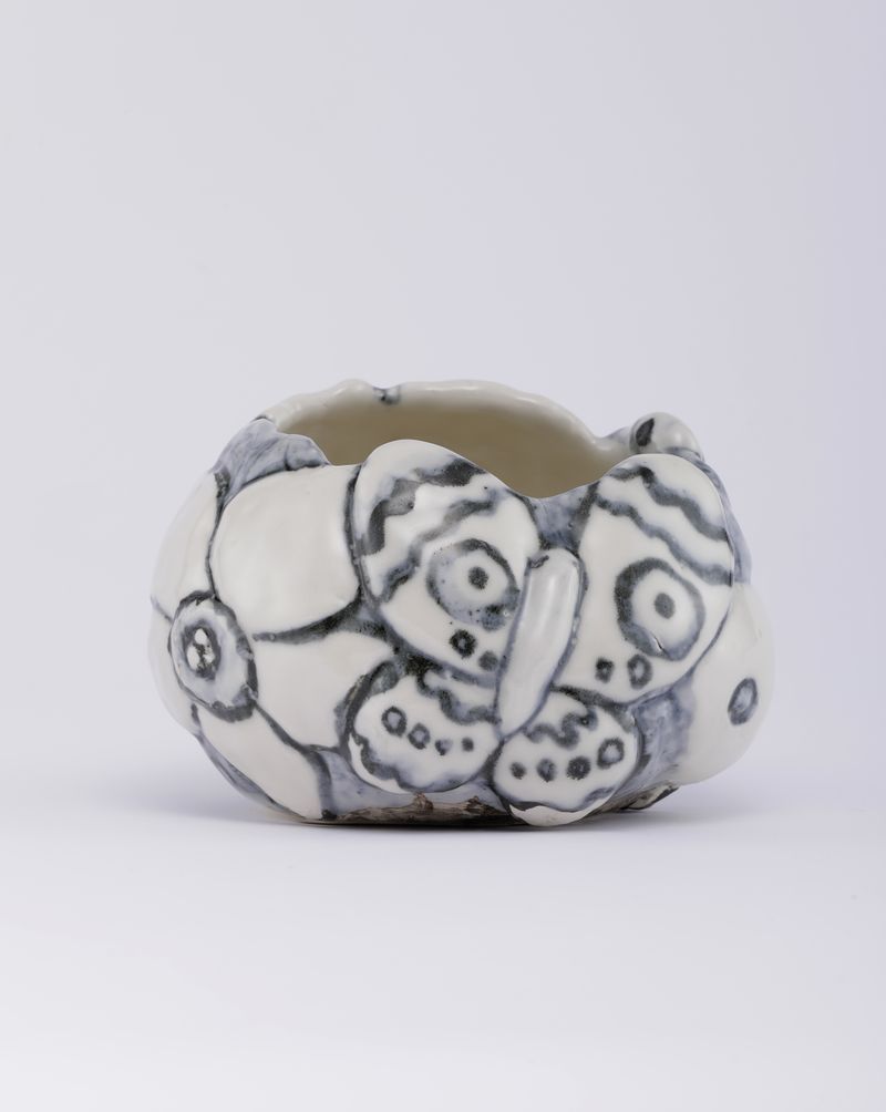 Chiho_Aoshima_Moth and Larva_