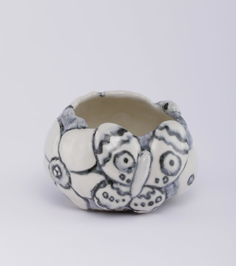 Chiho_Aoshima_Moth and Larva_