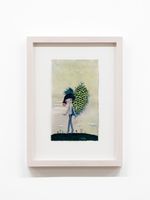 Peacock Girl | Chiho AOSHIMA