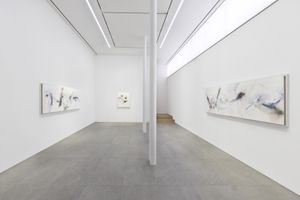 展覽現場圖 "upfront, wild and unchained" Seoul, Seoul (South Korea) | 席洛&middot;漢茲曼