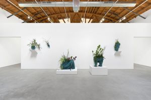 View of the exhibition "Impermanent" Perrotin Delmar LLC, Los Angeles (USA) | Iv&aacute;n ARGOTE