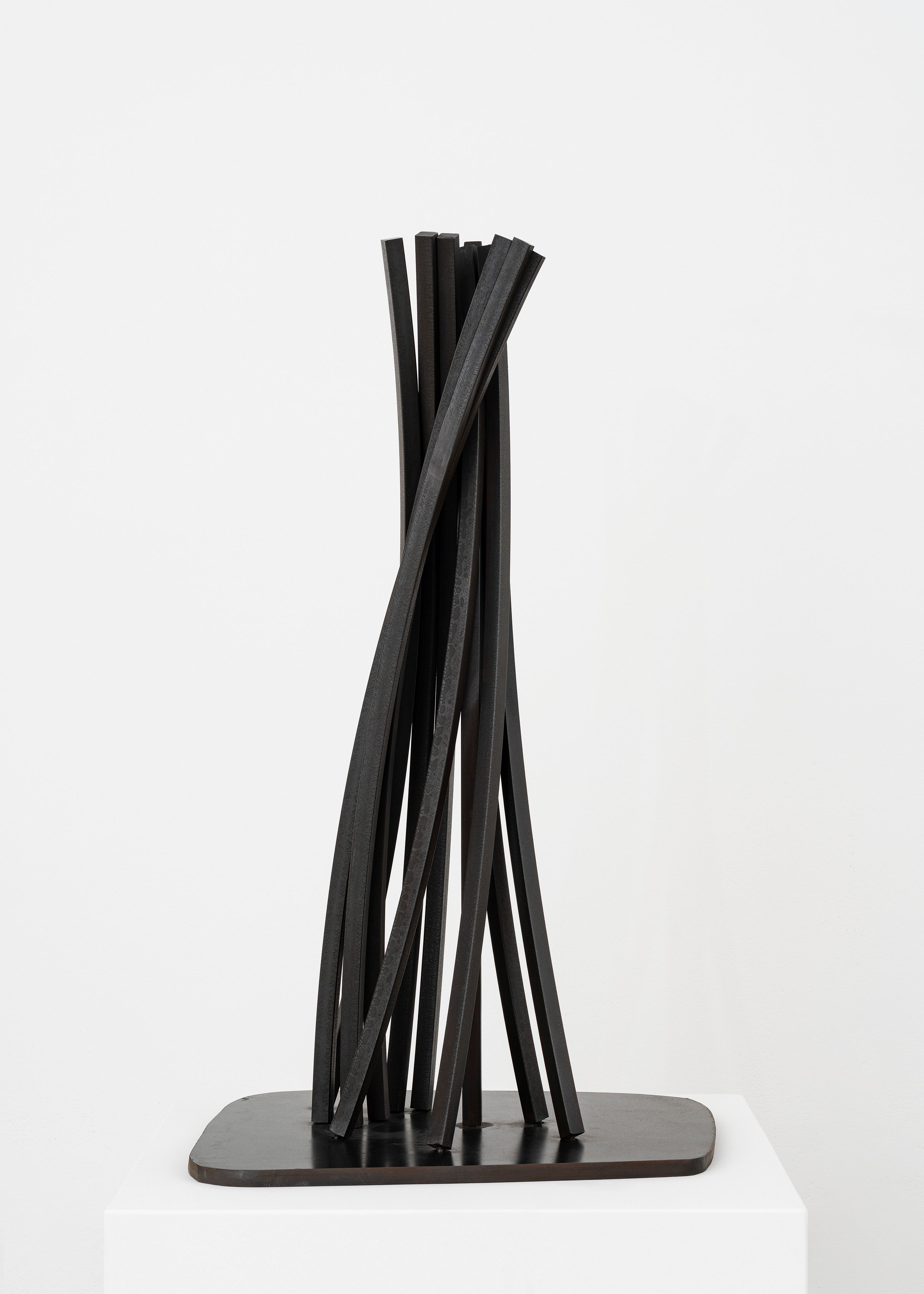 bernar_venet_Vertical Disorder: 11 Arcs_