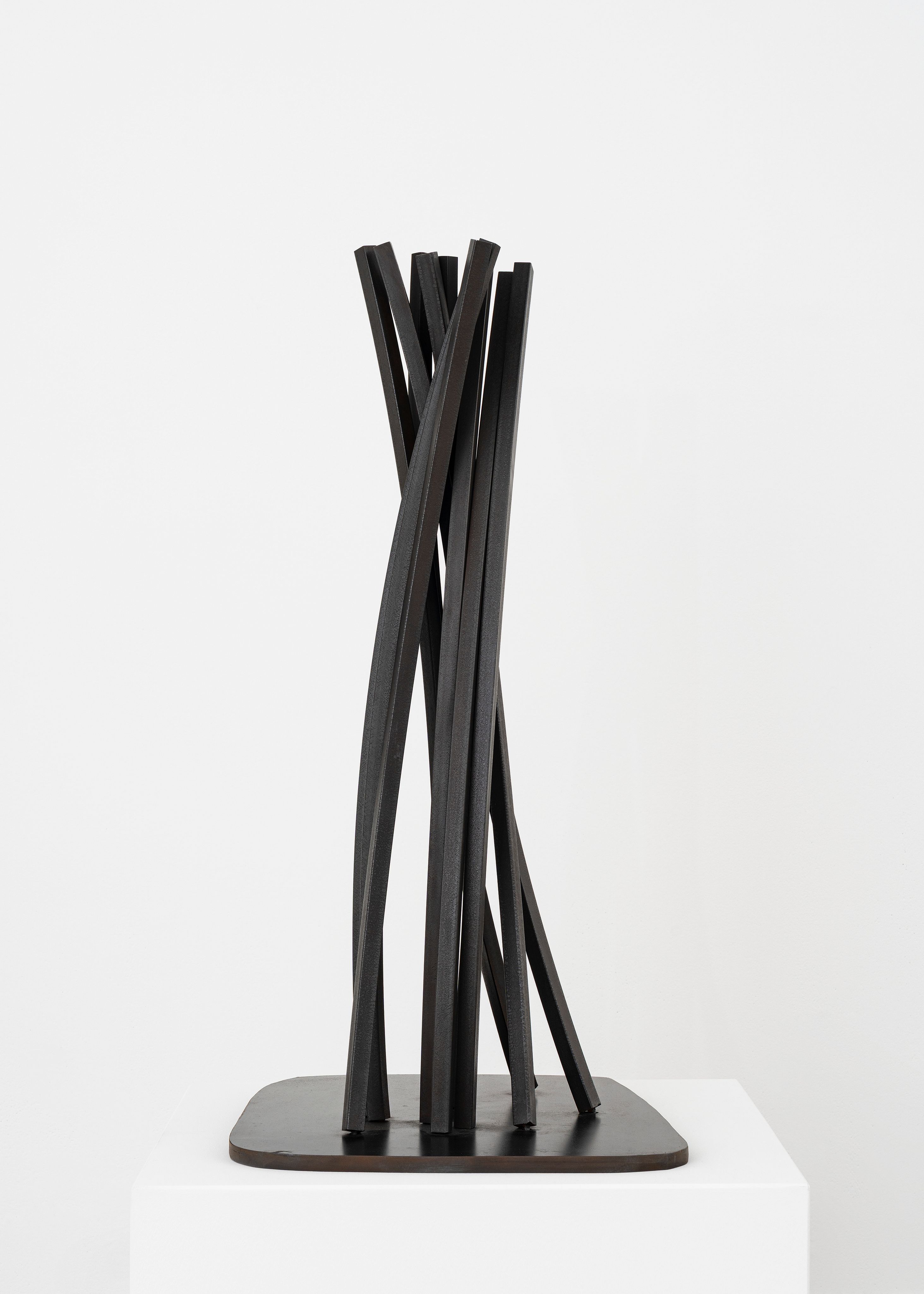 bernar_venet_Vertical Disorder: 11 Arcs_