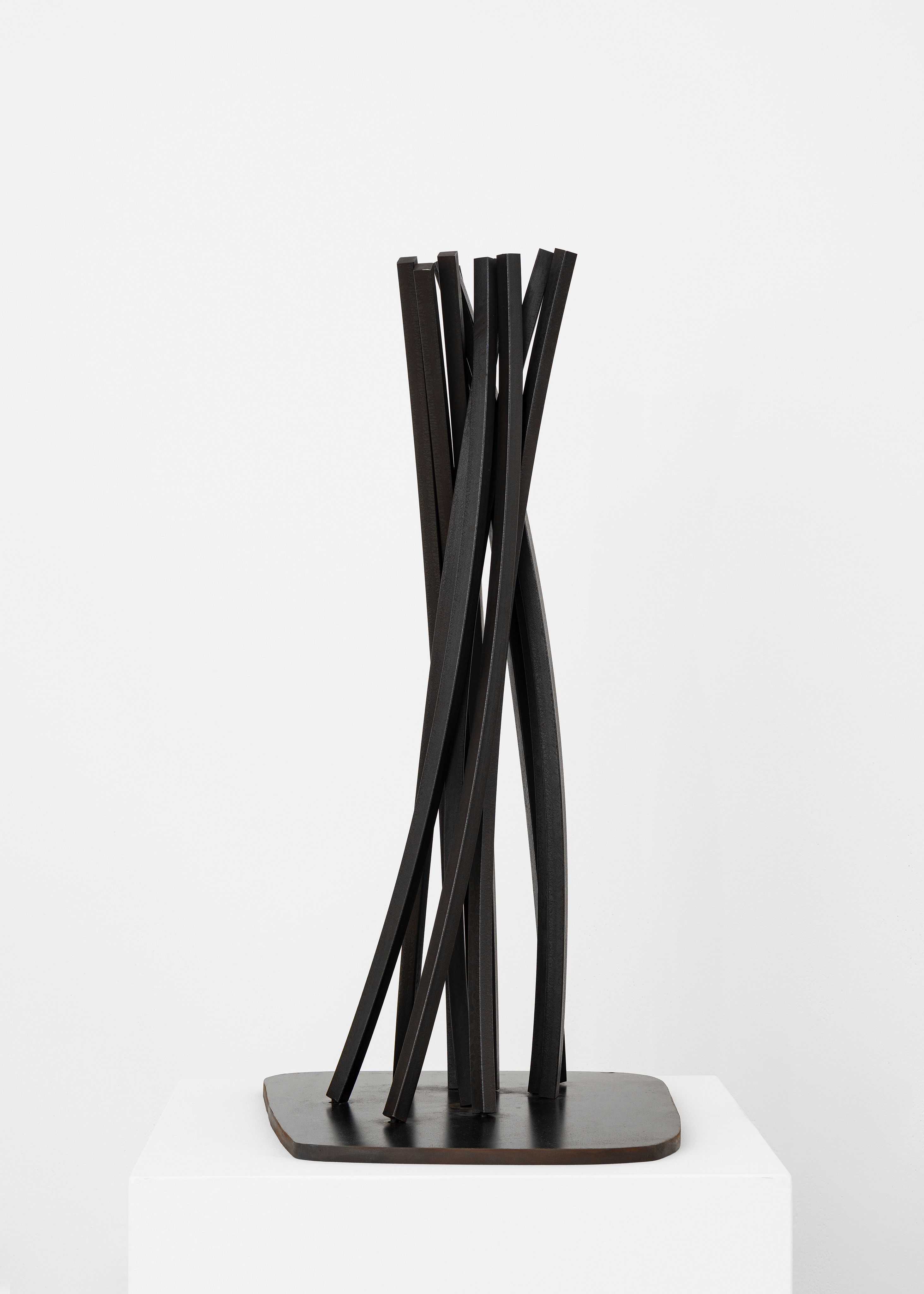 bernar_venet_Vertical Disorder: 11 Arcs_