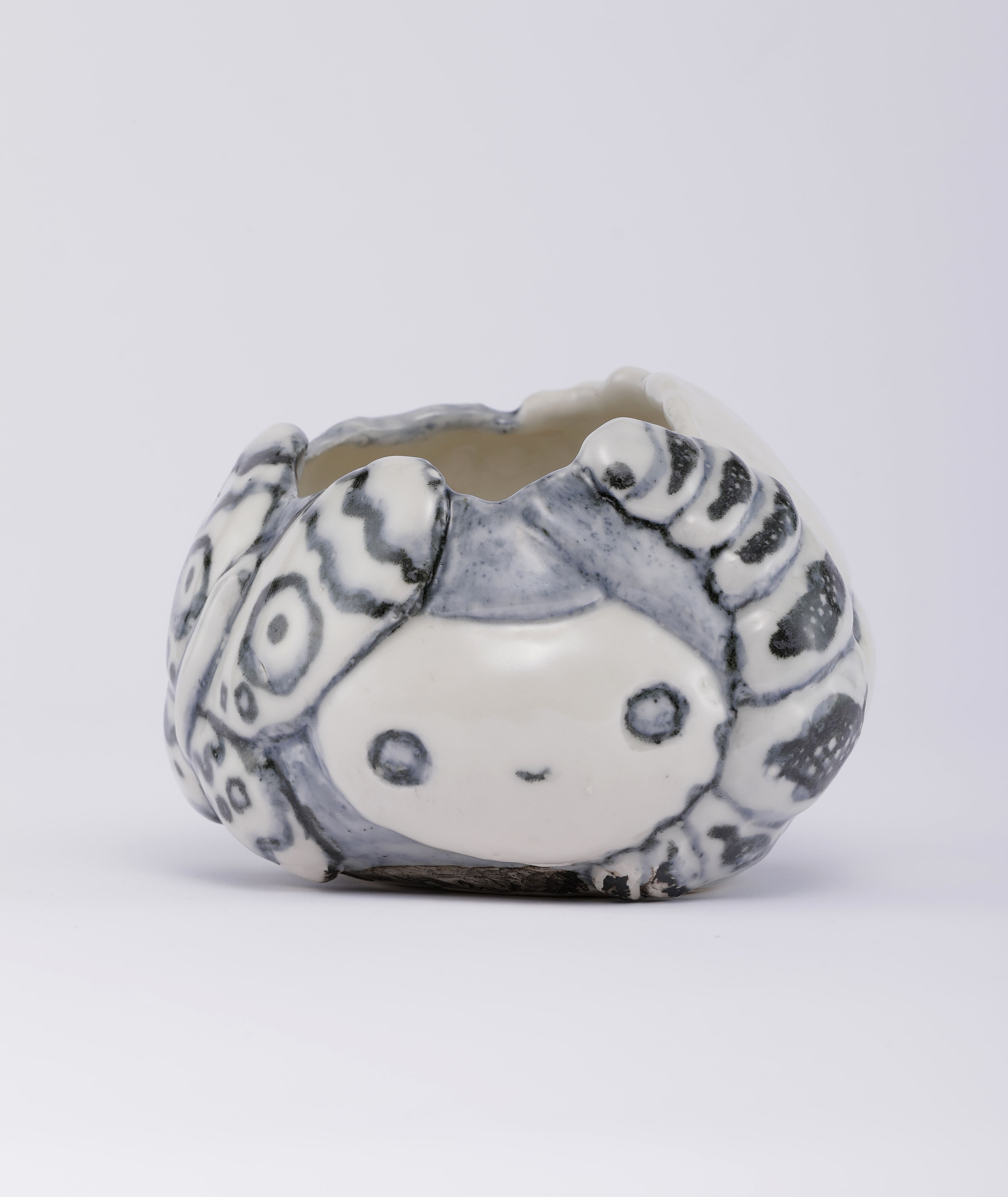 Chiho_Aoshima_Moth and Larva_