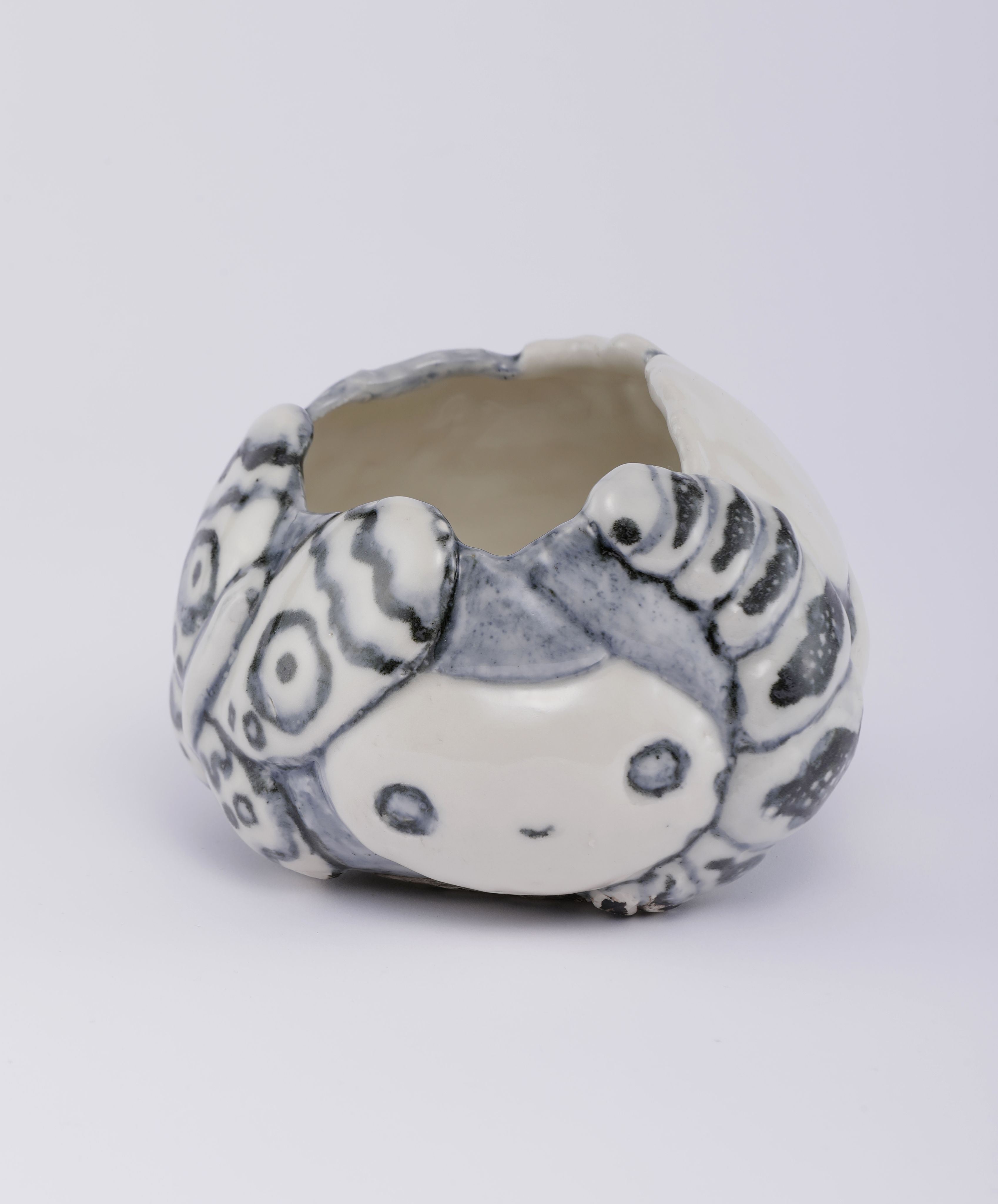 Chiho_Aoshima_Moth and Larva_