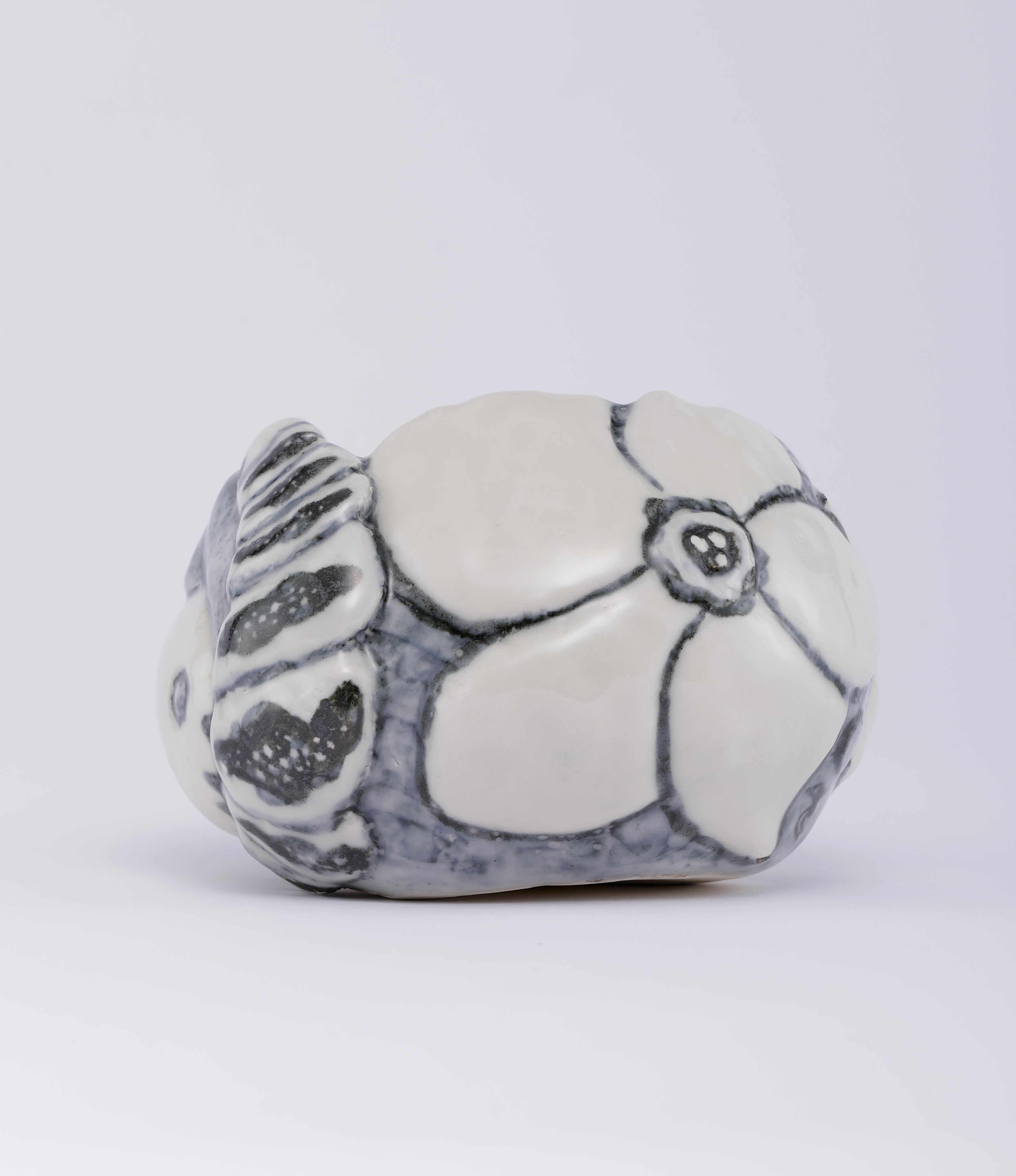 Chiho_Aoshima_Moth and Larva_