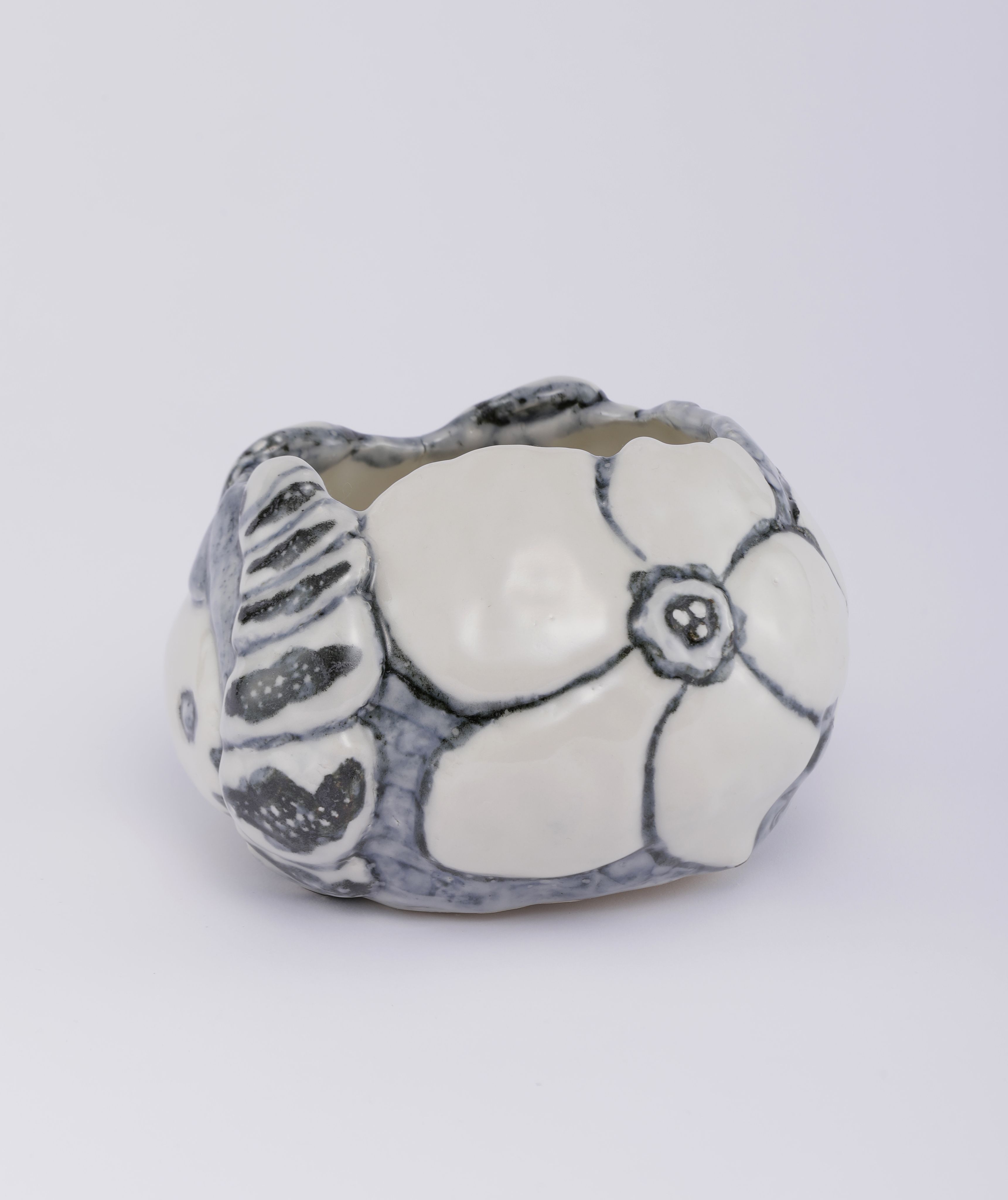 Chiho_Aoshima_Moth and Larva_